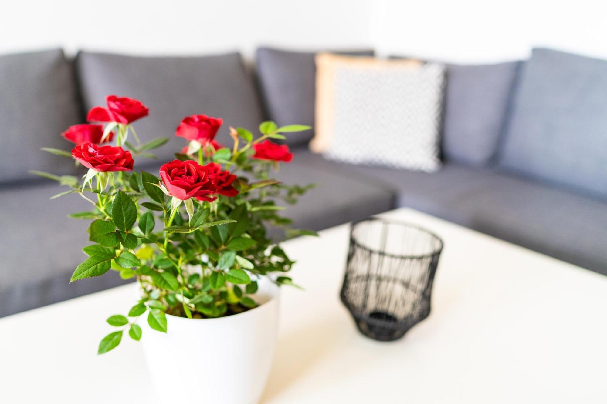 Sweet Rooms Bubesheim Dış mekan fotoğraf